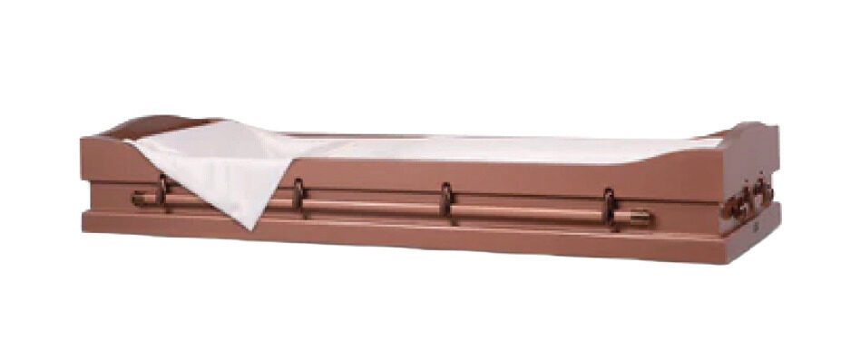 Chaise Bed Viewer, furniture in 