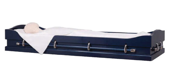 Chaise Bed Viewer, furniture, 
