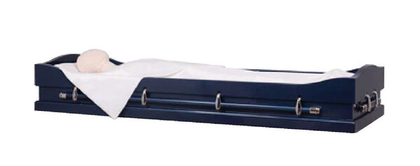 Chaise Bed Viewer, furniture, 